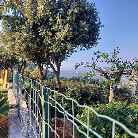 Villa Maremonti Monopoli Buitenkant foto