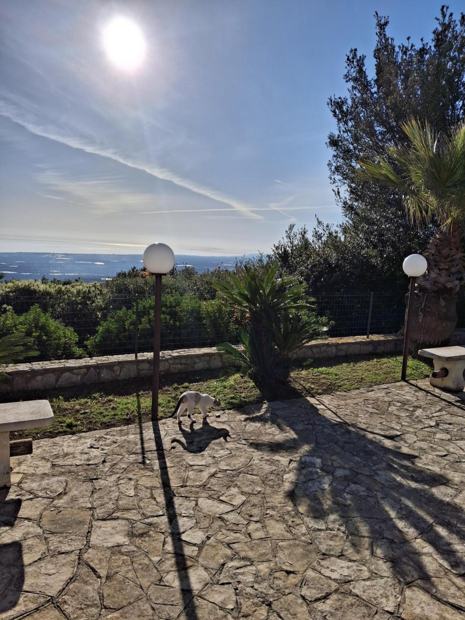 Villa Maremonti Monopoli Buitenkant foto